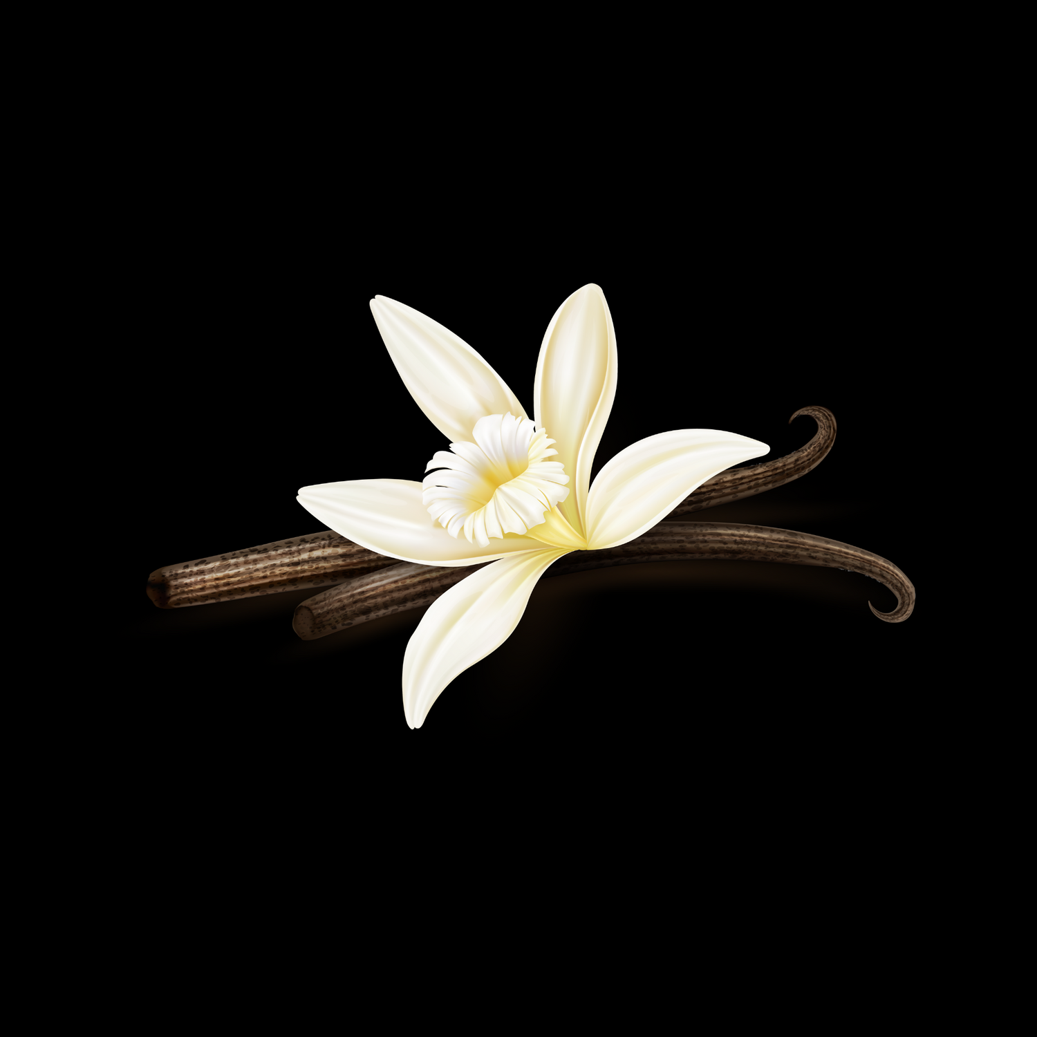 VANILLA
