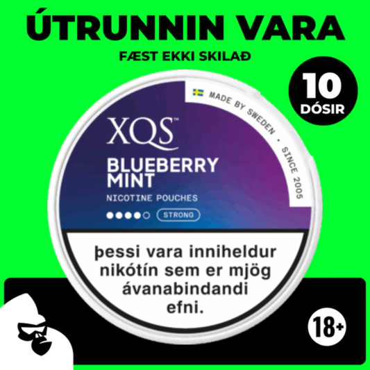 XQS BLUEBERRY MINT (10 DÓSIR)
