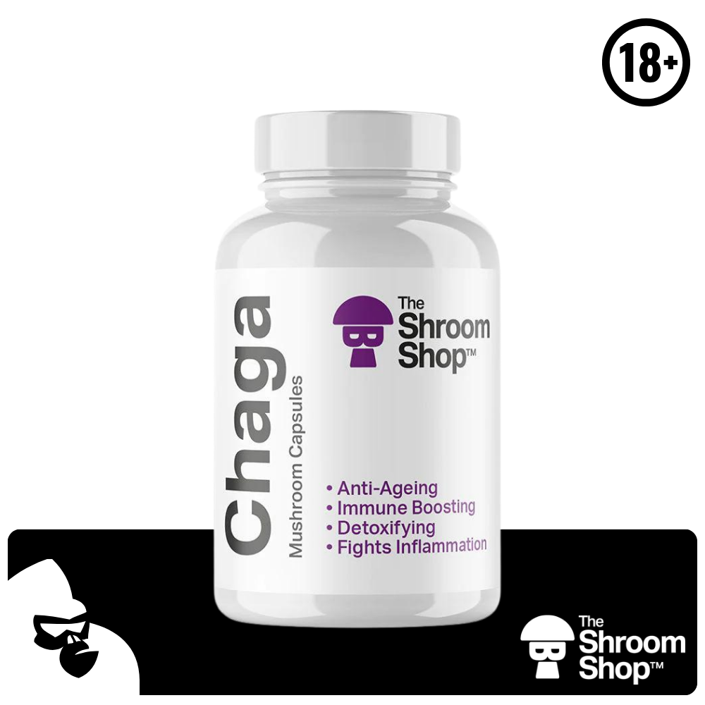 CHAGA MUSHROOM CAPSULES