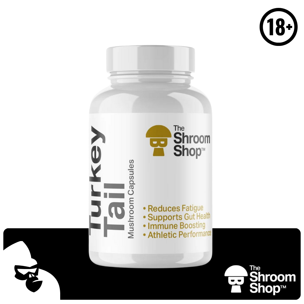 TURKEY TAIL MUSHROOM CAPSULES