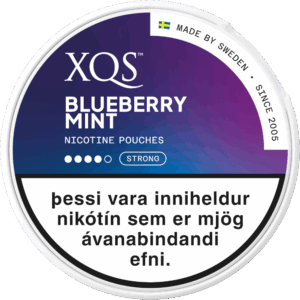 XQS BLUEBERRY MINT